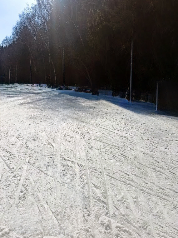 Трасса лыжероллерная Лесная Троицк, состояние на 22 марта 2026 по отзыву, фото 1. 